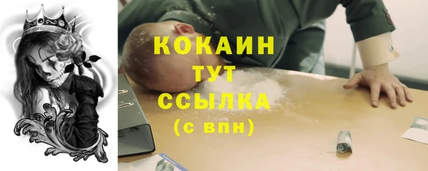 СК Алексин