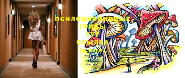 СК Алексин