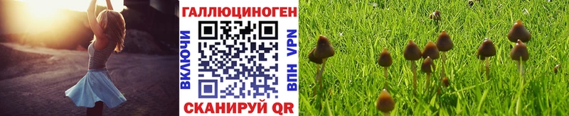 Галлюциногенные грибы MAGIC MUSHROOMS kraken ССЫЛКА Богородицк как найти